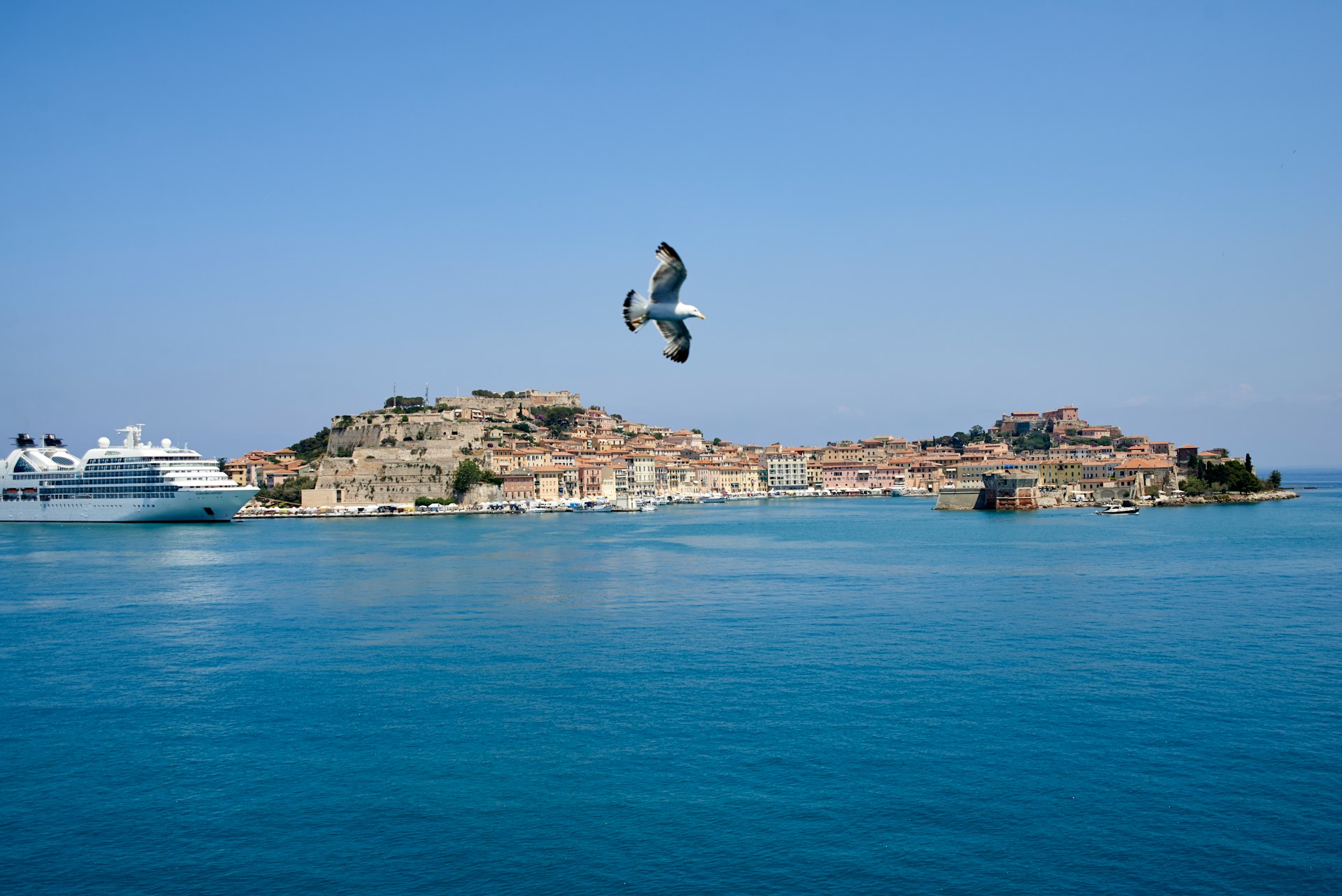man in white shirt and black pants jumping on blue sea under blue sky during daytime